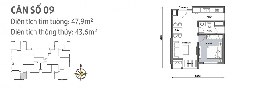can-so-09-895x335-1 can so 09