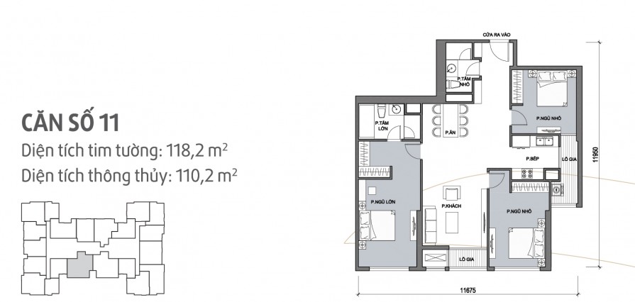 can-so-11-895x426-1 can so 11