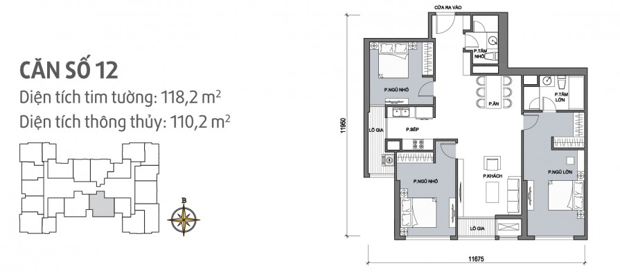 can-so-12-895x394-1 can so 12