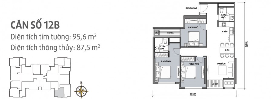 can-so-12b-895x328-1 can so 12B