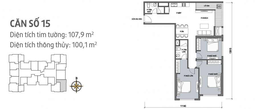 can-so-15-895x382-1 can so 15