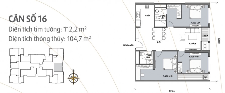 can-so-16-895x372-1 can so 16