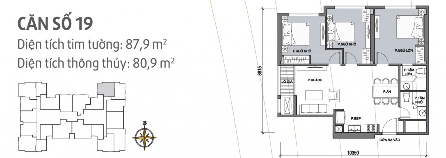 can-so-19-895x318-1 can so 19