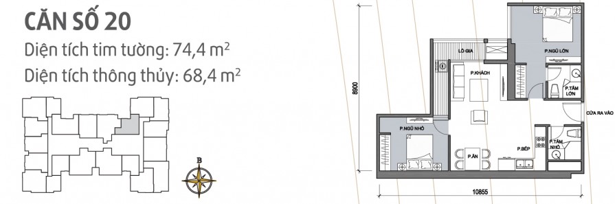 can-so-20-895x297-1 can so 20