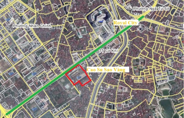 cao-su-sao-vang-2 cao su sao vang 2