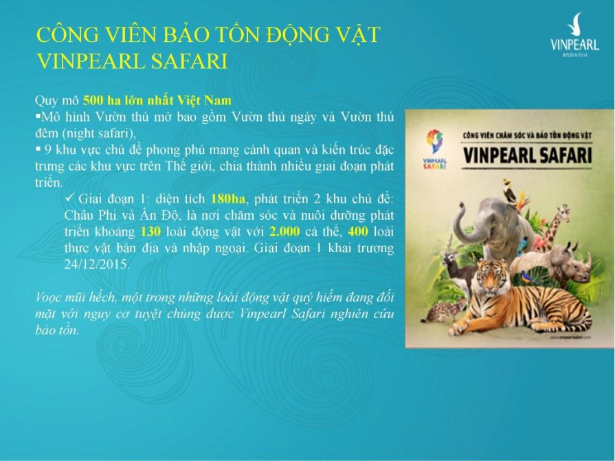 goc-nhin-nha-dau-tu-phu-quoc-3-19-895x671-1 goc nhin nha dau tu phu quoc 3 (19)