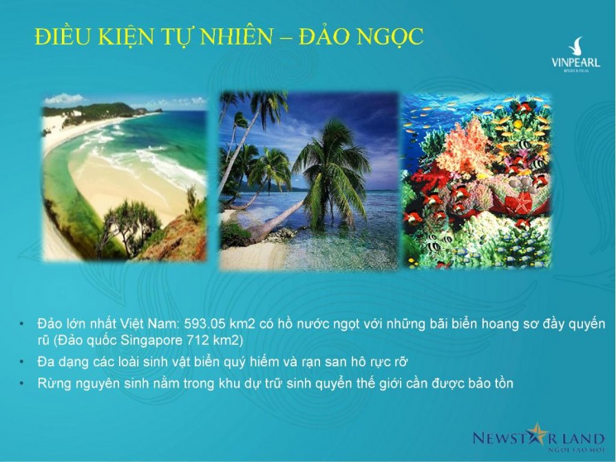 goc-nhin-nha-dau-tu-phu-quoc-3-3-895x671-1 goc nhin nha dau tu phu quoc 3 (3)