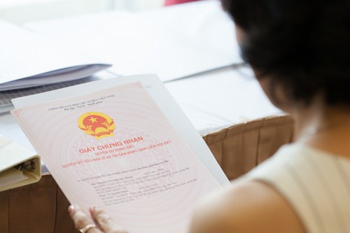 img9961_copy IMG9961_Copy