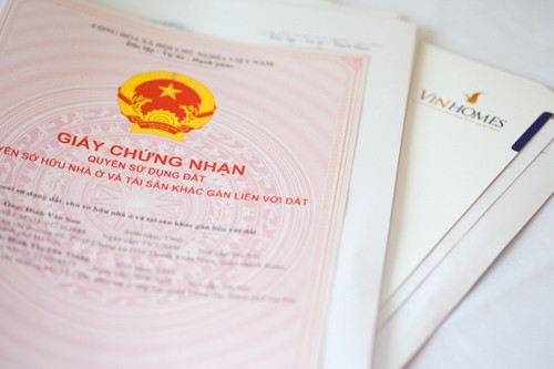 img9972_copy IMG9972_Copy