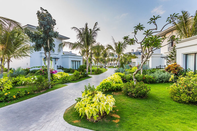 le1-1473084060172 le1-1473084060172