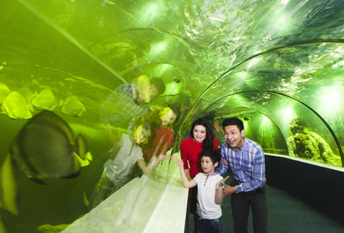 thuy-cung-times-city thuy cung times city