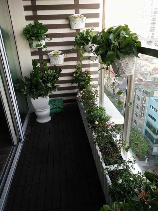 trang-tri-ban-cong-times-city-2 trang-tri-ban-cong-times-city (2)